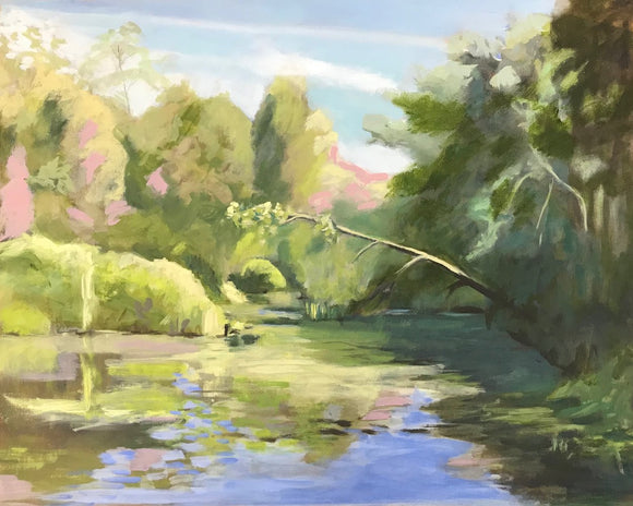 Afternoon Reflections