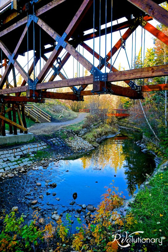 Fall in the Ravine
