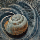 Shell Without a Shore-1