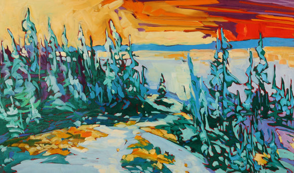 Trail To The Water At Tincan Hill, NWT