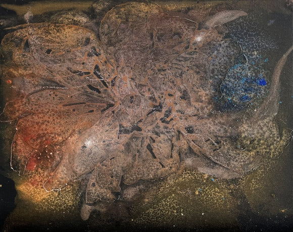 Nebulae