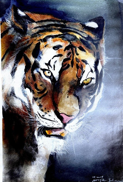 Tiger
