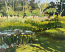 Iris Pond-1
