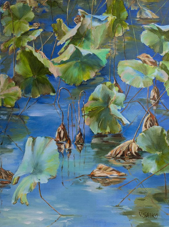 Lotus Pond 2