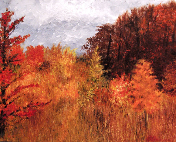 Fall Colours