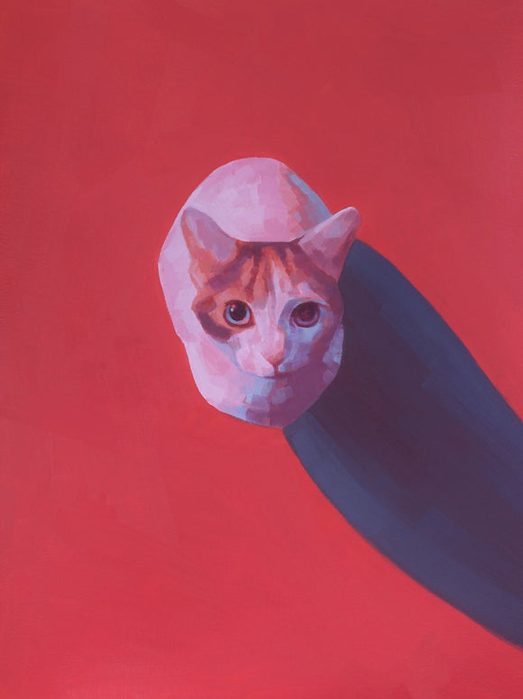 Curiosity