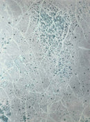 Vanishing Veil-1