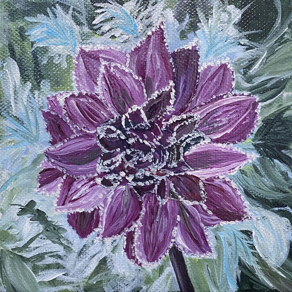Frosty Dahlia