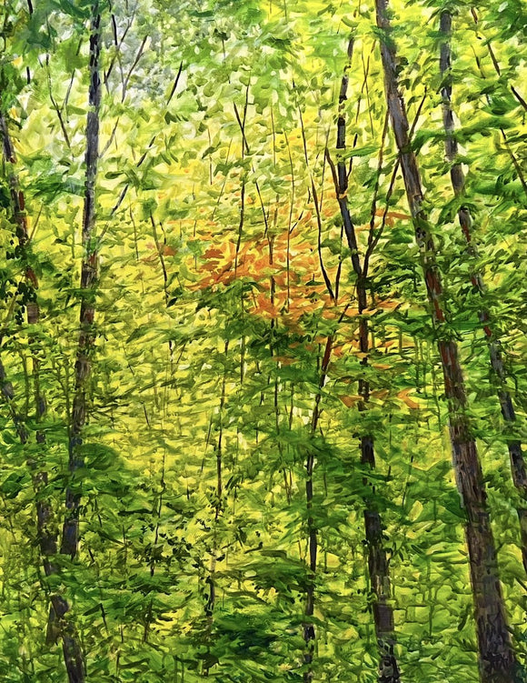 Natures Rhythms