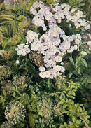 In the Garden 2-1