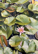 In the Lilies-1