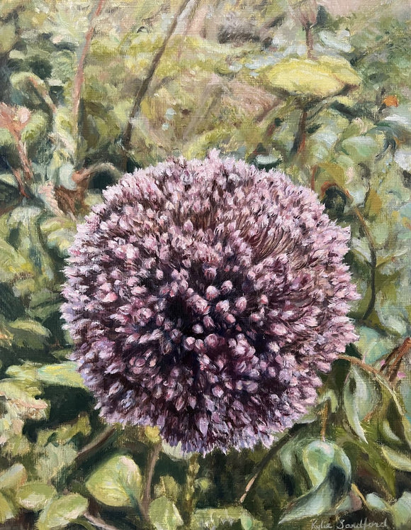 The Allium