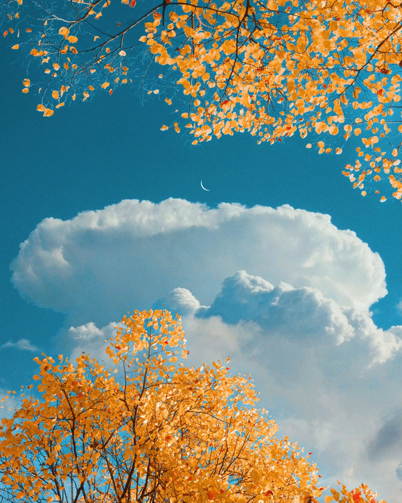 Autumn Sunrise