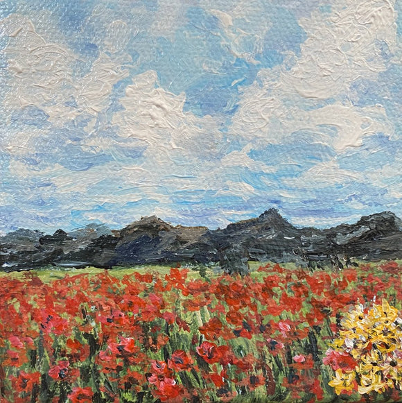 Poppies for Miles