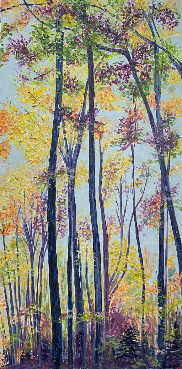 Colourful Slice Of Life #2