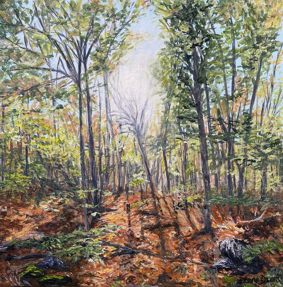 Shimmering in the Fall Sun
