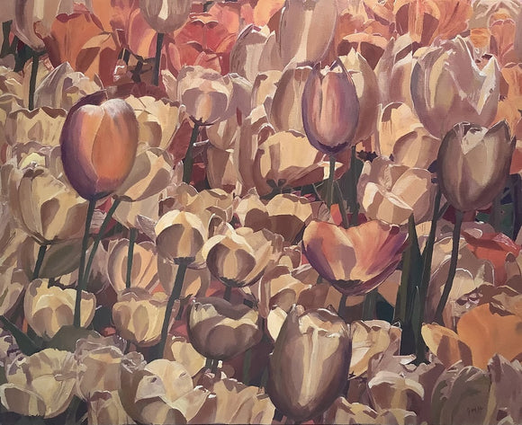 Tulips