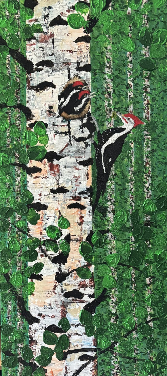 PILEATED WOODPECKER - FIRST COME