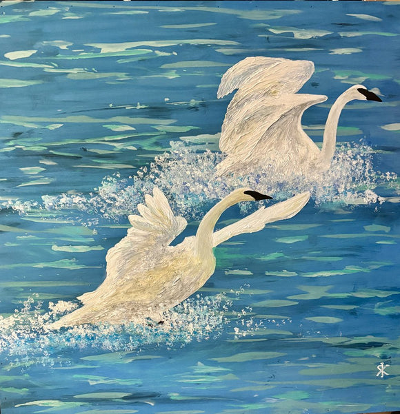 TRUMPETER SWAN - ARRIVAL