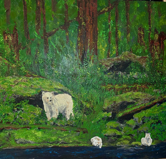 KERMODE - COASTAL SPIRIT BEAR - CURIOSITY