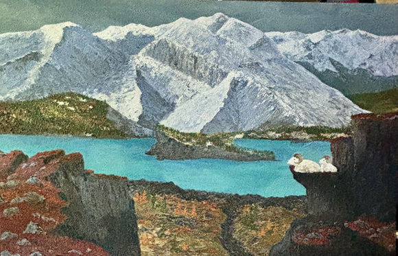 DAHL SHEEP - THE VIEW
