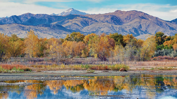 Autumn at Sawhill Ponds