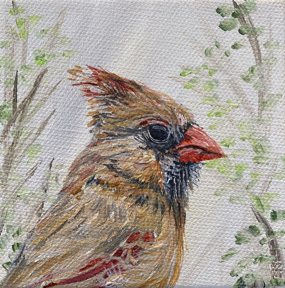 Ms. Cardinal