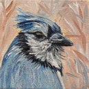 Ms. Blue Jay-1