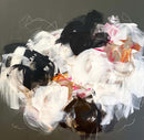 White Dove-1