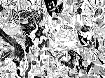 Bones