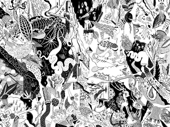Bones