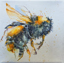 Morning wings-1