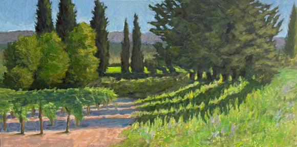 Beyond the Vineyard