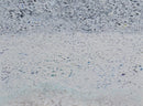 Lost Horizon-1