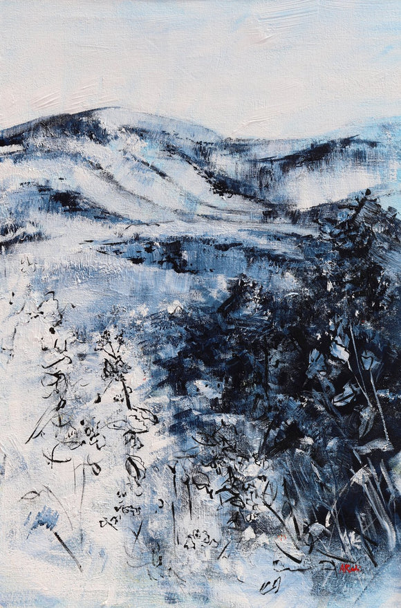 Mountains at Shenandoah