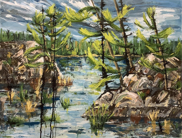 Whitefish Falls July