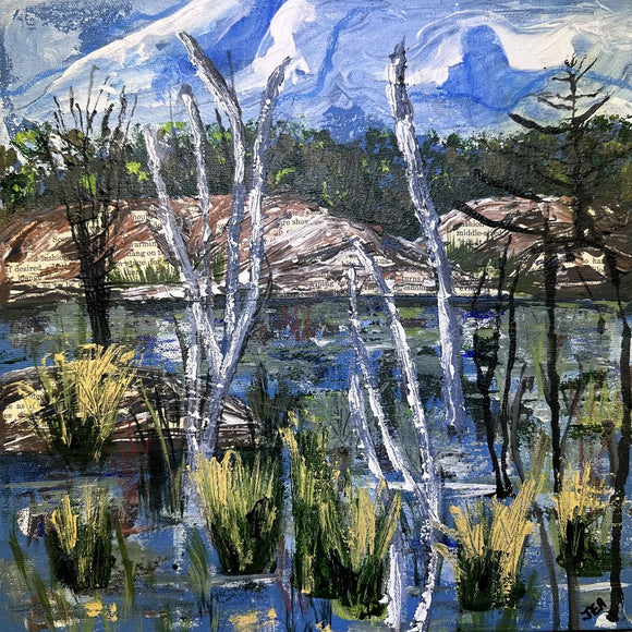 Inlet at Whitefiah Falls
