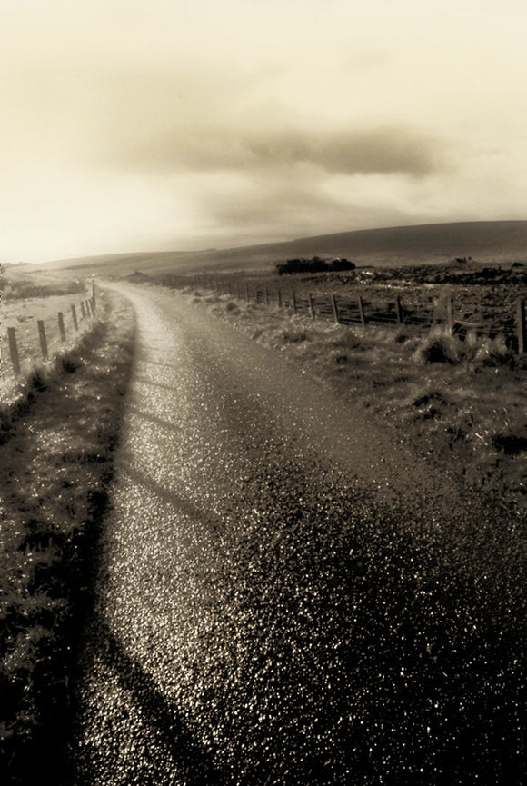 Road of Dreams