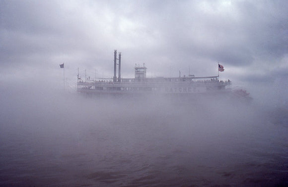 Into the Fog