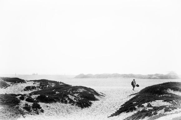 Foggy Day at the Beach