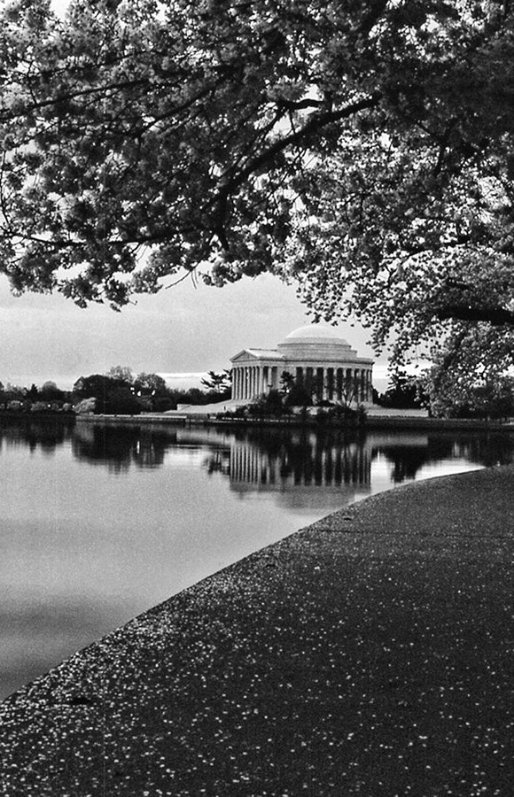 Jefferson Memorial with Cherry Blossoms