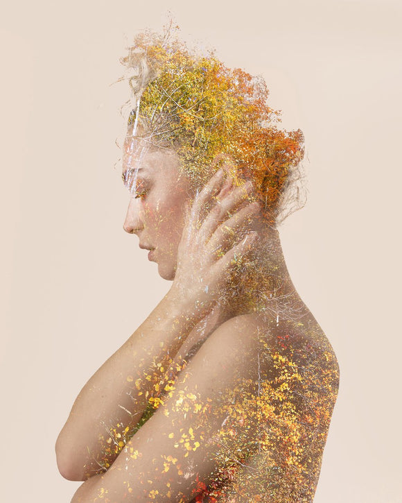 Autumns Whisper