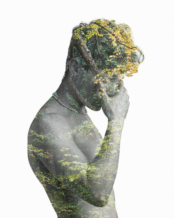 Contemplation