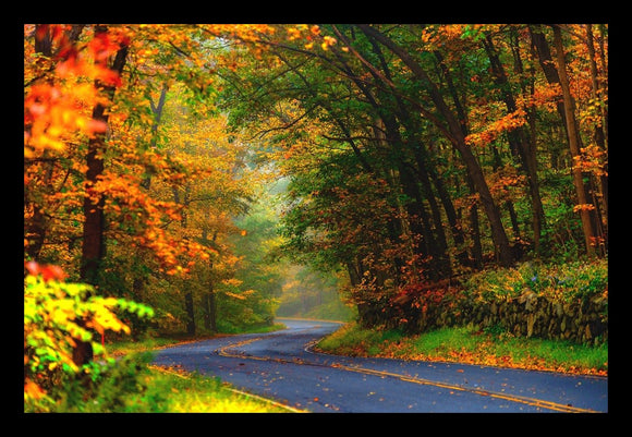 Fall Scenery
