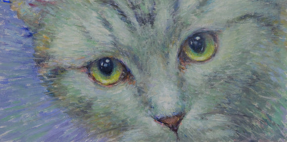 Inquisitive Cat