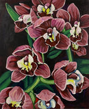 Phalaenopsis-1