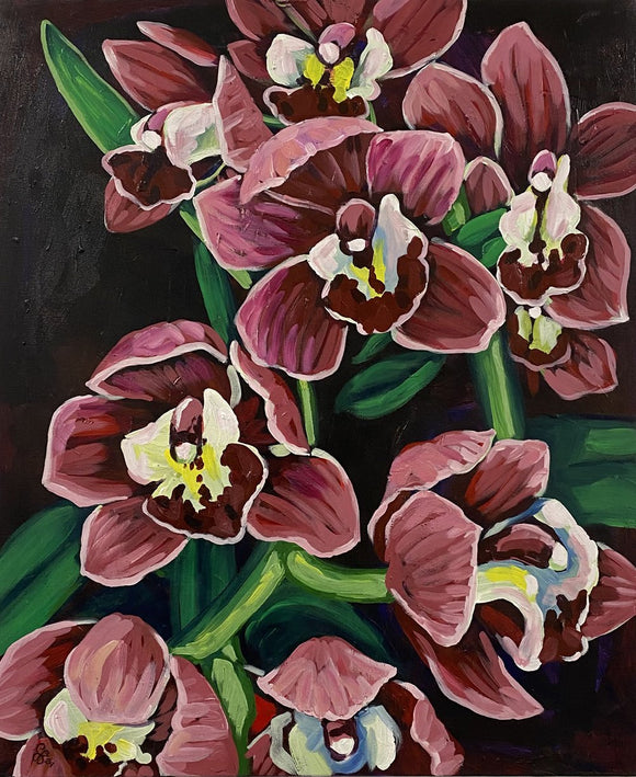 Phalaenopsis