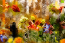 Wildflower 1-1