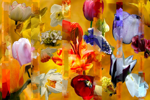 Wildflower 2