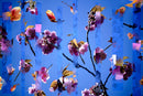 Wildflower 3-1